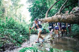 BIB: 
                            <button type="button" onclick="openModal(25466845)" class="btn btn-primary btn-sm float-right btn-popup" data-toggle="modal" data-target=".modal-high-quality">
                        <i class="fas fa-shopping-cart"></i> Add to Cart
                    </button>
                                            <button type="button" onclick="isThisMe(25466845, true)" class="btn btn-success btn-sm float-right btn-popup btn-isme hidden" data-toggle="tooltip" data-placement="bottom" title="นี่คือรูปของคุณใช่ไหม คลิกที่นี่เพื่อเอาเข้าอัลบั้ม">
                        <i class="fas fa-plus"></i> Add to album
                    </button>
                    <button type="button" onclick="isThisMe(25466845, false)" class="btn btn-warning btn-sm float-right btn-popup btn-isnotme hidden">
                        <i class="fas fa-ban"></i> Remove from album
                    </button>